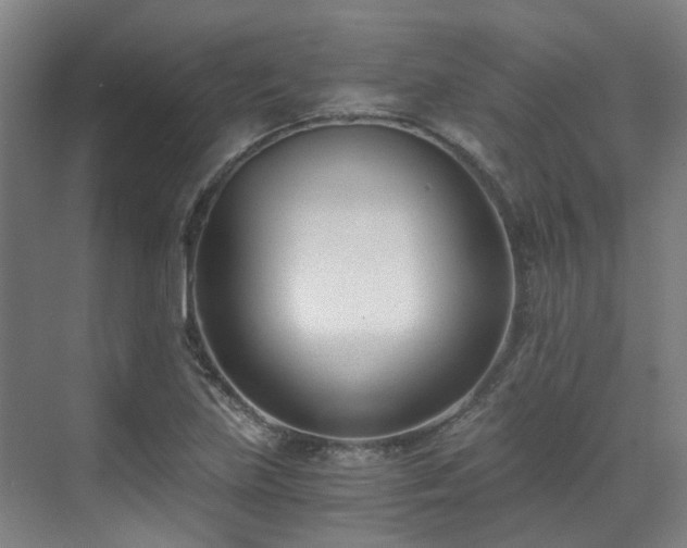 X0000071351219200606261333