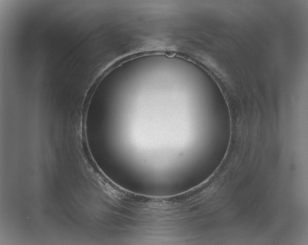 X0000071351220200606261333