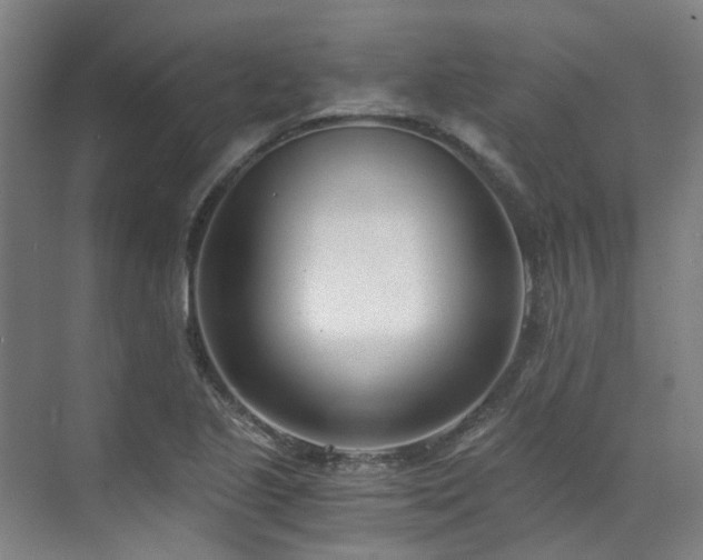 X0000071351221200606261333