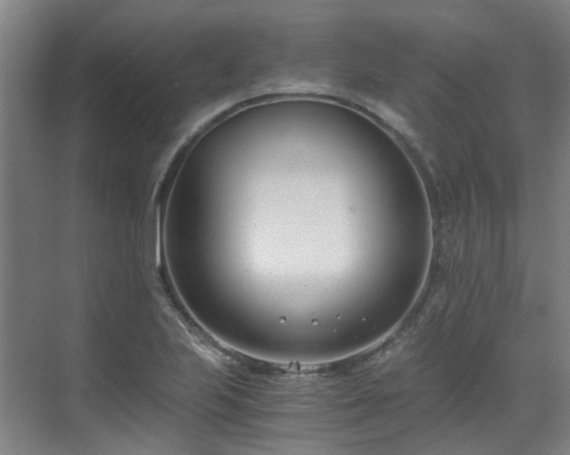 X0000071351223200606261333