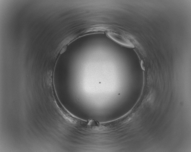 X0000071351233200606261333