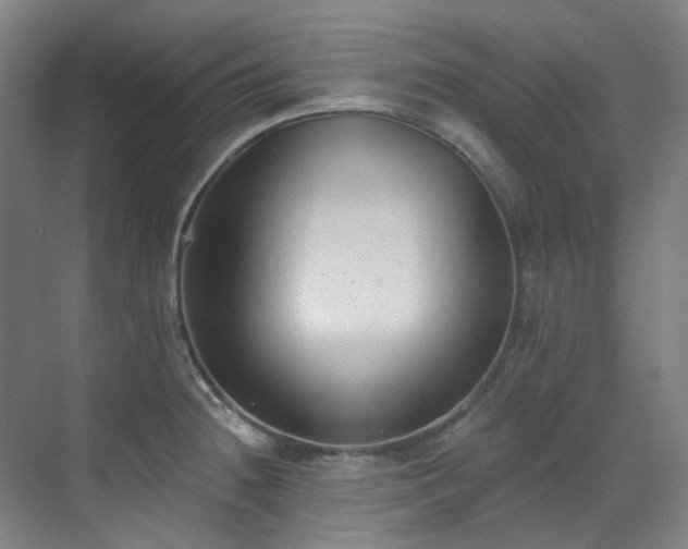 X0000071351236200606261333