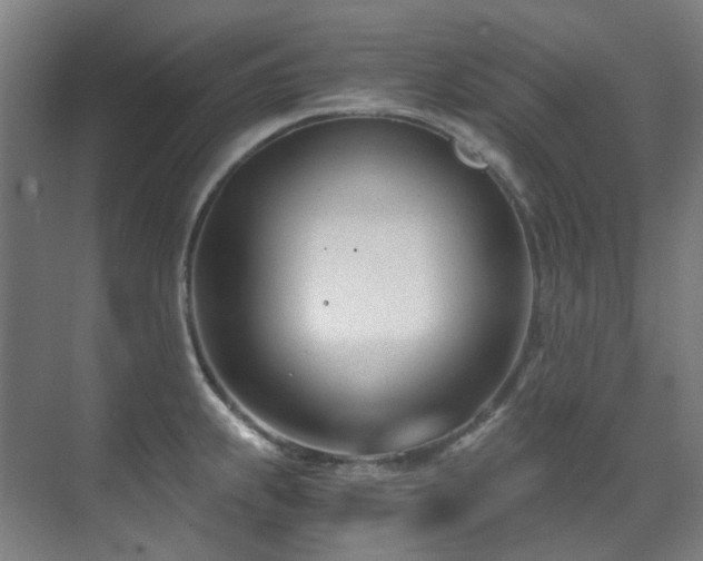 X0000071351239200606261333