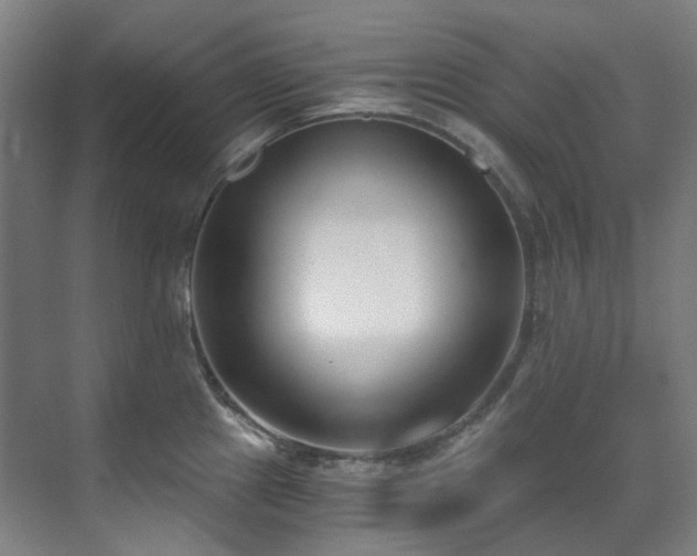 X0000071351241200606261333