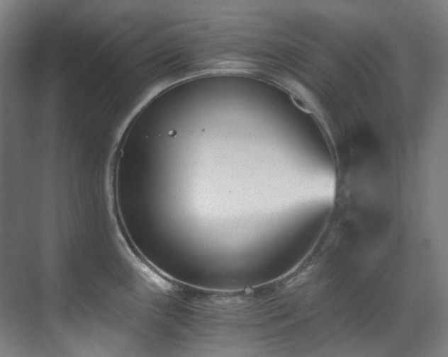 X0000071351243200606261333