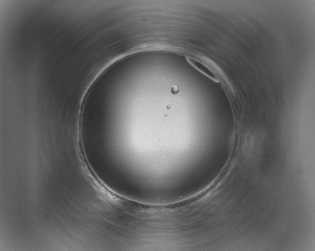 X0000071351244200606261333