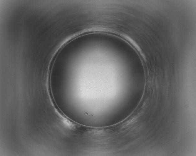 X0000071351245200606261333