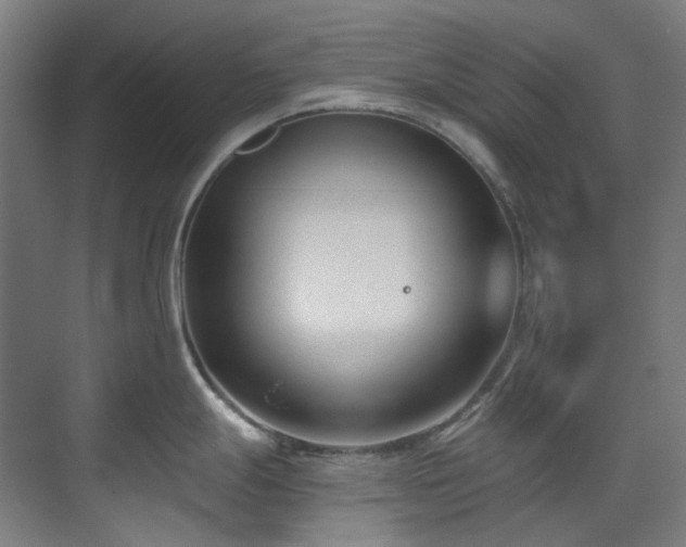 X0000071351247200606261333