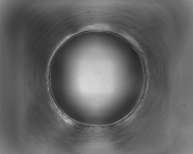 X0000071351248200606261333