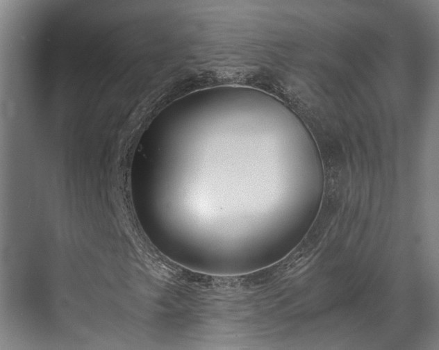 X0000071351249200606261333