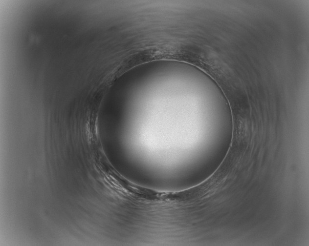 X0000071351250200606261333