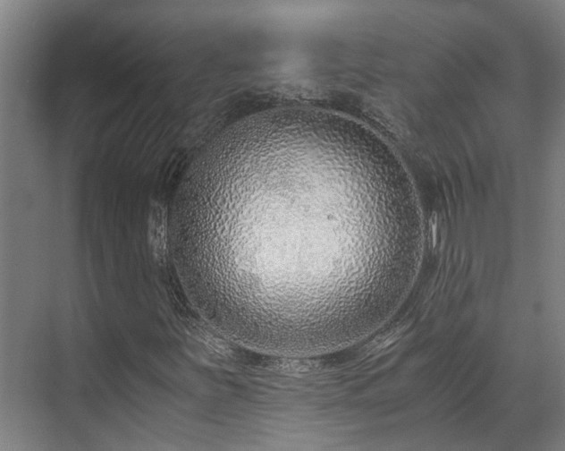 X0000071351251200606261333