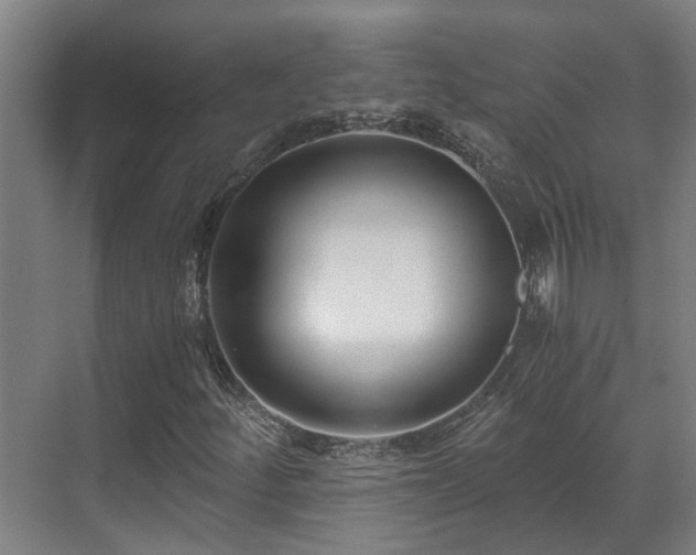 X0000071351252200606261332