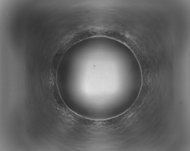 X0000071351253200606261332