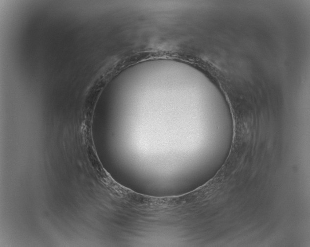 X0000071351254200606261332