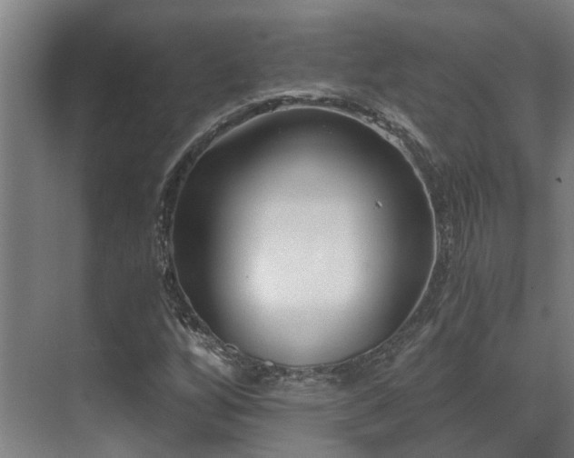 X0000071351256200606261332