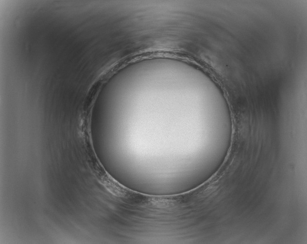 X0000071351258200606261332