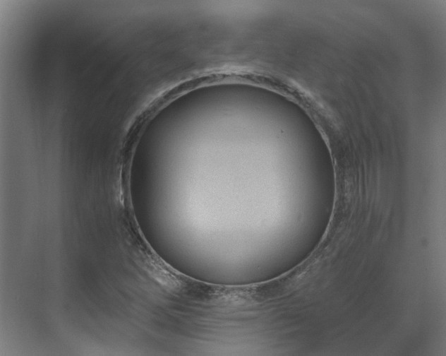 X0000071351262200606261332