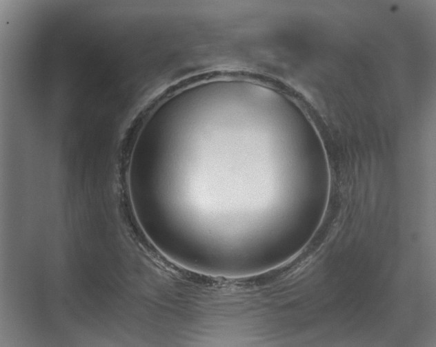 X0000071351263200606261332