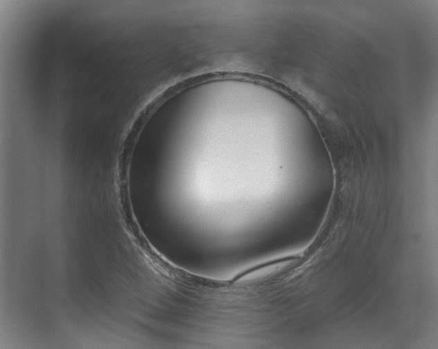 X0000071351264200606261332