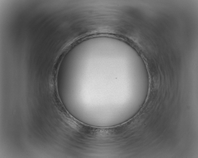 X0000071351266200606261332