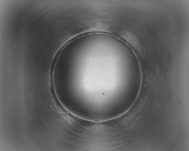 X0000071351268200606261332