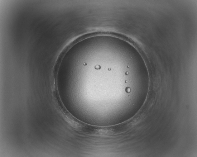 X0000071351271200606261332