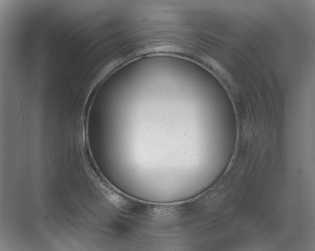 X0000071351274200606261332