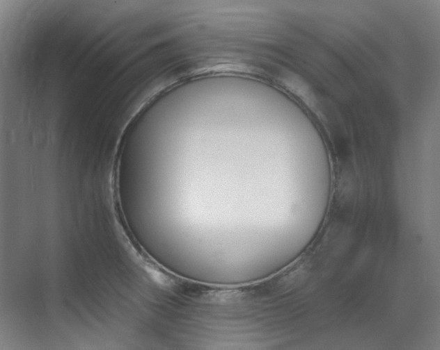 X0000071351282200606261332