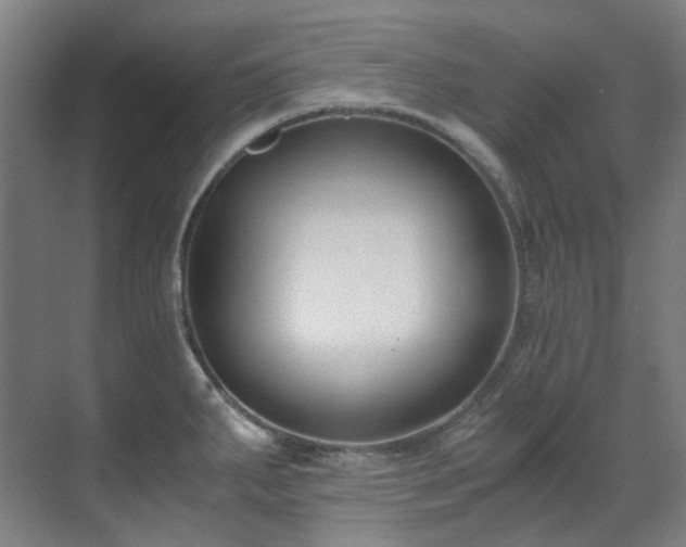 X0000071351287200606261332