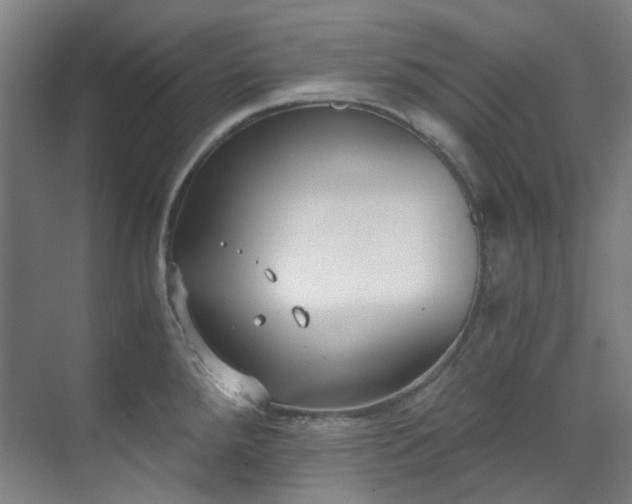 X0000071351288200606261332