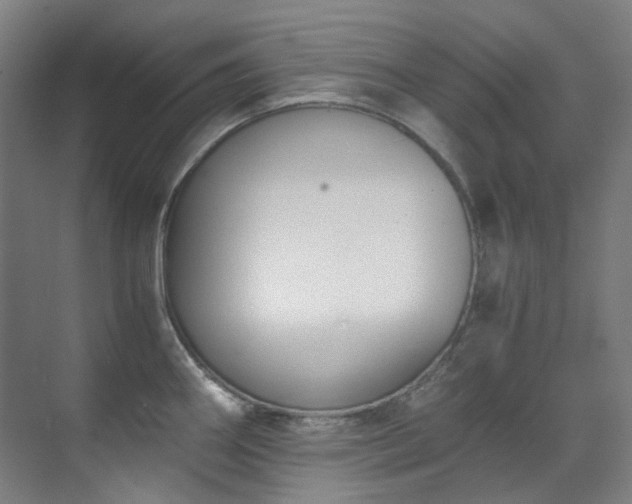 X0000071351290200606261332