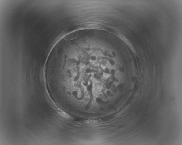 X0000071351291200606261332