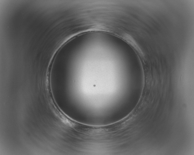 X0000071351292200606261332