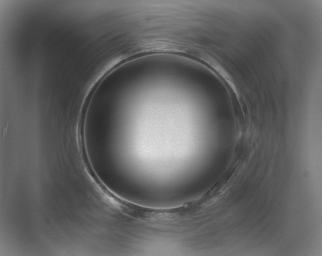 X0000071351293200606261332