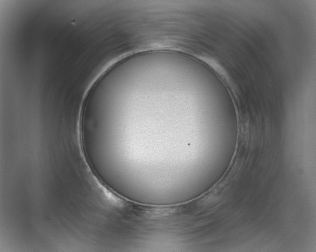 X0000071351294200606261332