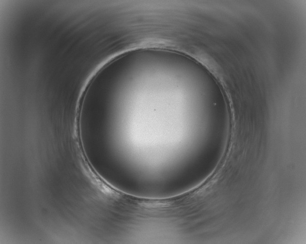 X0000071351296200606261332