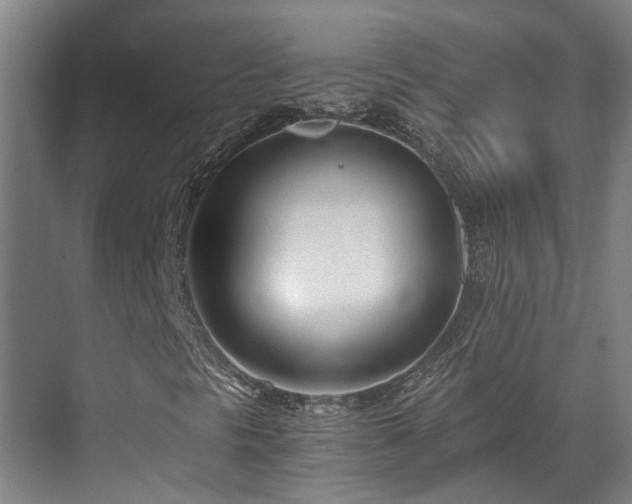 X0000071351297200606261331