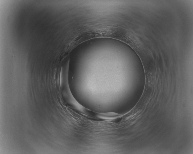 X0000071351298200606261331