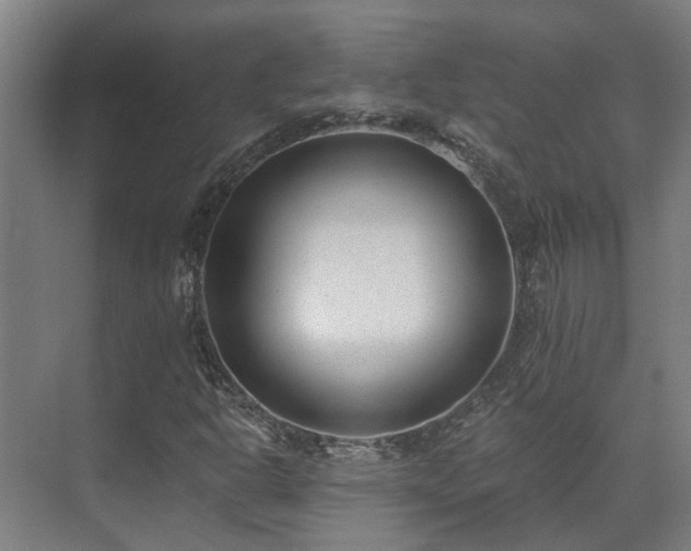 X0000071351302200606261331