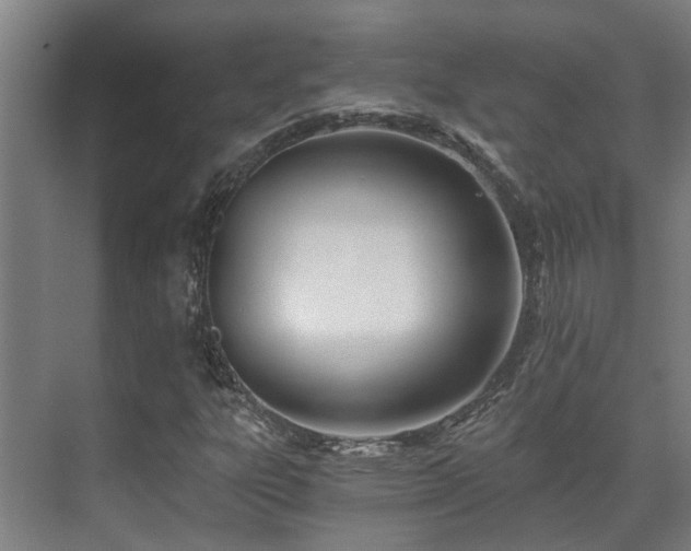 X0000071351303200606261331