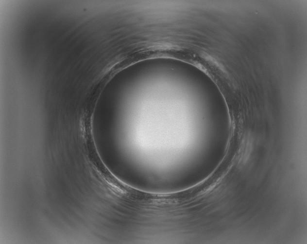 X0000071351305200606261331