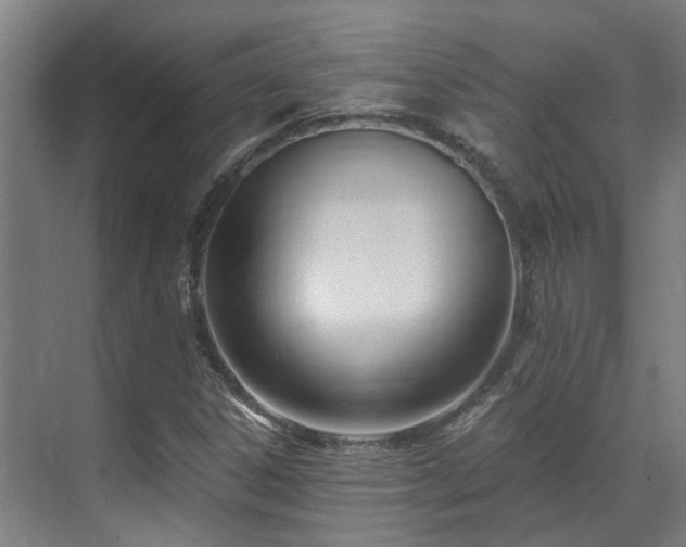 X0000071351306200606261331