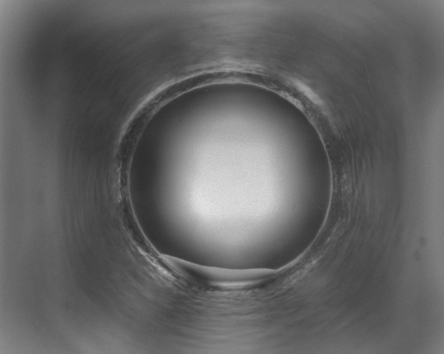 X0000071351310200606261331