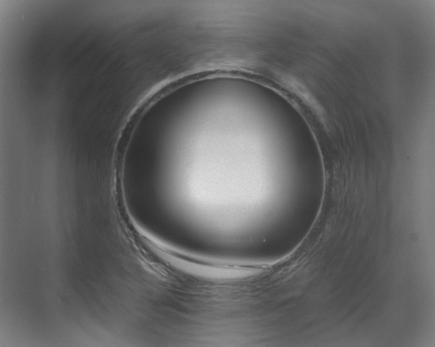 X0000071351316200606261331