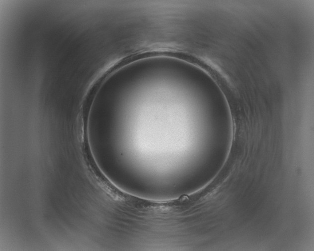 X0000071351317200606261331