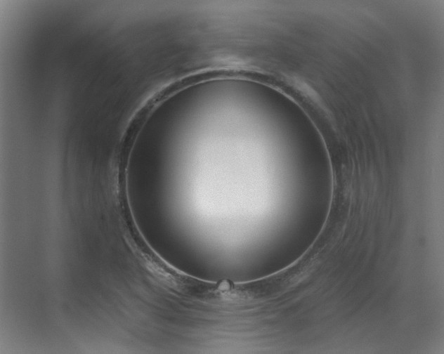 X0000071351318200606261331