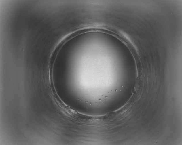 X0000071351320200606261331