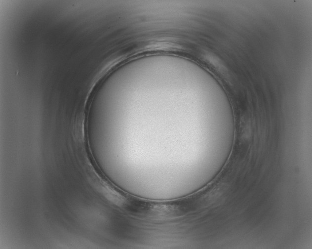 X0000071351322200606261331