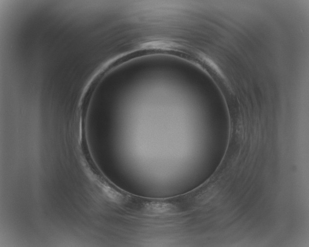 X0000071351323200606261331